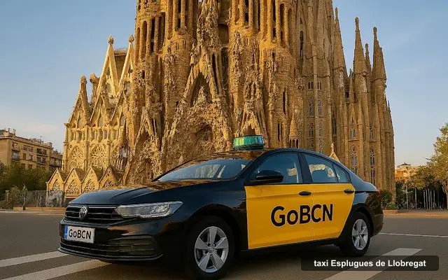 Go BCN Taxi, taxi company in Esplugues de Llobregat