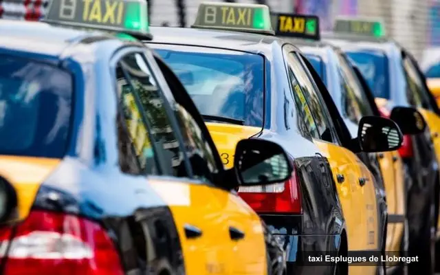 Taxi de Badalona, taxi company in Esplugues de Llobregat
