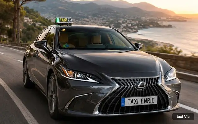 Taxi Enric Vic, servei de taxi a Vic